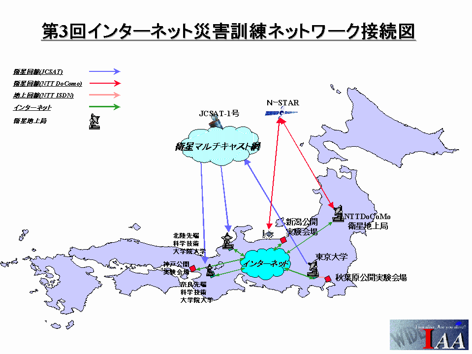 IAA Network Structure